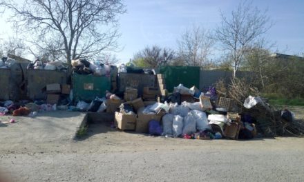 В Севастополе массовые проблемы с уборкой и вывозом мусора?