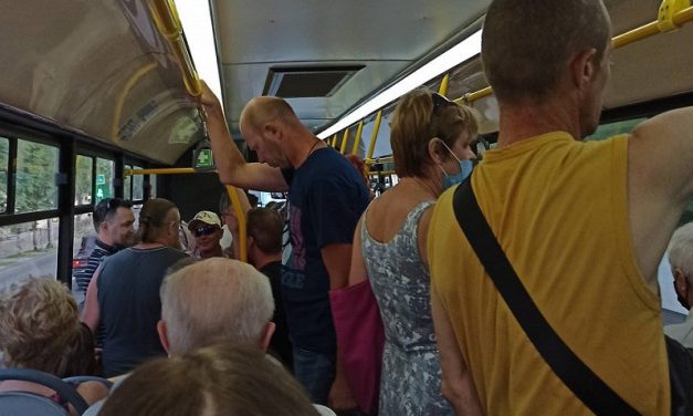 Пассажиропоток в транспорте Севастополя вырос на 20%