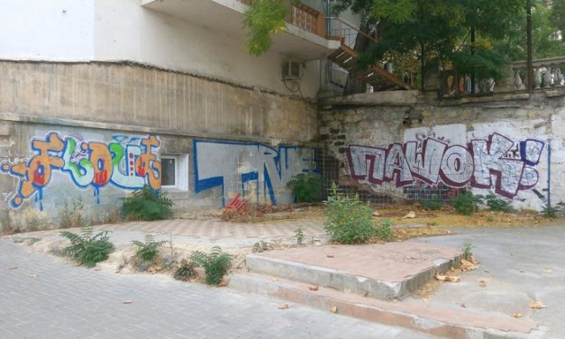 Севсети#1307: Оборона Севастополя от граффити, встреча с белочкой и инопланетный контакт