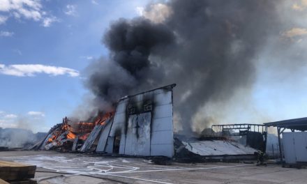 Крупный пожар произошел в Гагаринском районе Севастополя