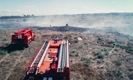 Очередной пожар в Севастополе уничтожил растительность на гектаре земли