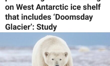 «Не остановить таяние шельфовых льдов Западной Антарктики: обреченность нарастающего распада ледников»