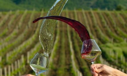Две севастопольские винодельни победили на винном конкурсе