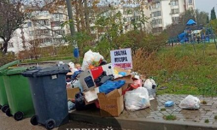 Проблема с мусором на проспекте Октябрьской революции