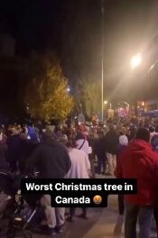 Проблемы с освещением рождественской елки в Канаде