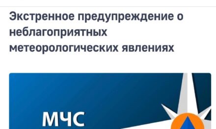 МЧС предупреждает о надвигающемся шторме в Москве