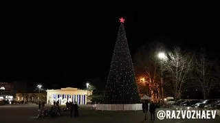 Главная городская ёлка на площади Нахимова