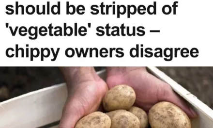 Картофель лишен статуса овоща: ученые требуют изменений