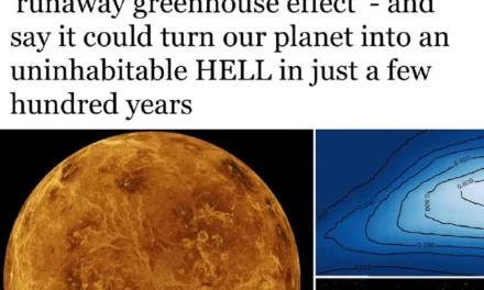 Конец Земли: ученые предупреждают об ужасающем будущем