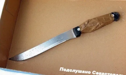 Семнадцатилетний сын изрезал ножом мать