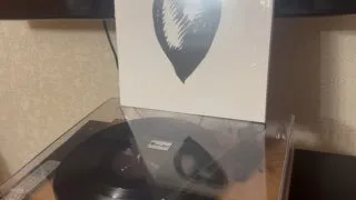 Дэйв Грол: учение жить заново и вдохновение рок-банды Foo Fighters