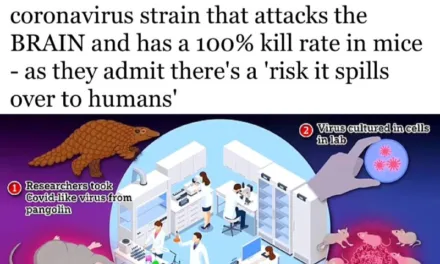 Новый коронавирус с 100% смертностью: ученые из Китая
