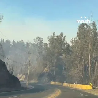 Апокалипсис в Чили: лесные пожары и хаос