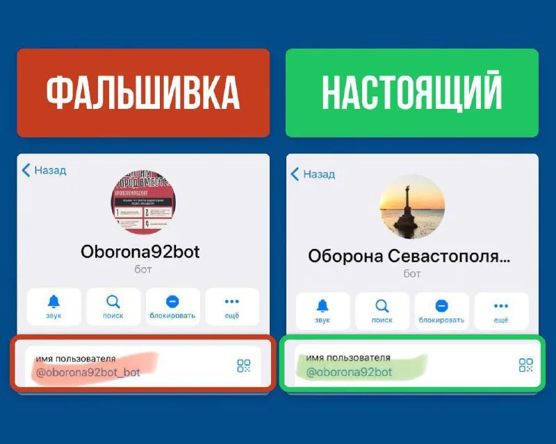 Фейковый аккаунт чат-бота «Оборона Севастополя» — предупреждение