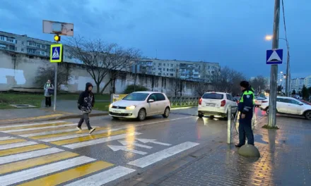 Итоги операции «Пешеходный переход» в Севастополе