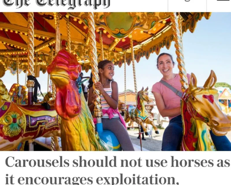 Запретить лошадей на каруселях: требование зоозащитников
