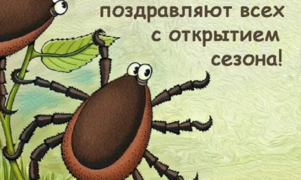 Крым: от гриппа к опасности укусов клещей — предупреждение Роспотребнадзора