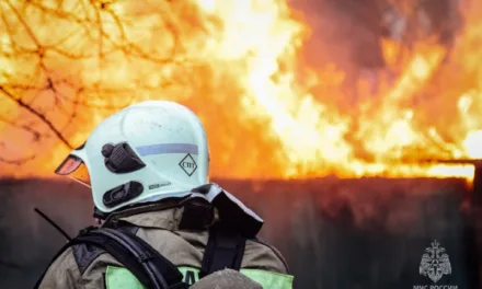 Предотвращение пожаров в Севастополе: важные правила безопасности