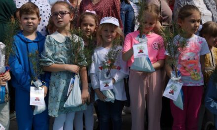 Детские сады Севастополя получили саженцы сосны для акции «Сады Победы»