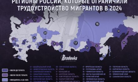 Треть регионов РФ ограничили трудоустройство мигрантов в десятках сфер