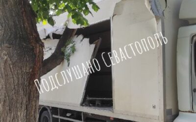Дерево раздавило автомобиль в Севастополе: службы не спешат на помощь