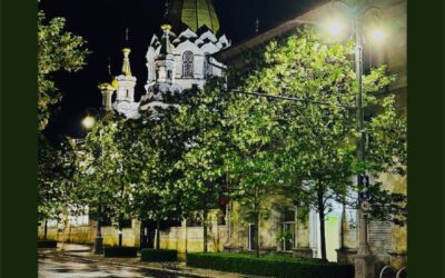 График включения и отключения уличного освещения Севастополя на следующую неделю