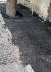 Керчь: Деревья закатали в асфальт, возмущение жителей