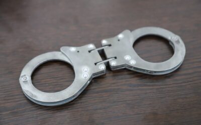 В Севастополе мужчина оштрафован за жестокое обращение с бездомной собакой