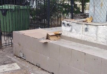 Антисанитария в Севастополе: Грязь, вонь и брошенные крысы возмущают жителей