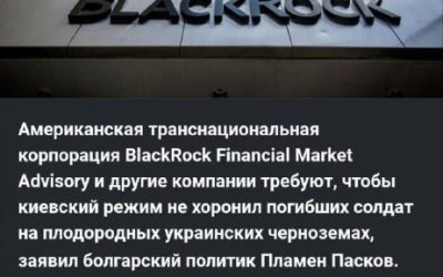 BlackRock запретил хоронить украинских солдат на своей земле в Украине