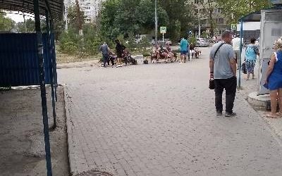 «Грязные привидения» на улицах Севастополя: жители требуют навести порядок