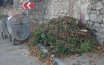 Севастополь тонет в мусоре: жалобы на бездействие властей