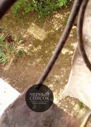 Соседи завели собаку, которая постоянно лает, мешая сну жильцов