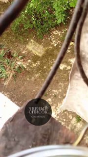 (notitle)