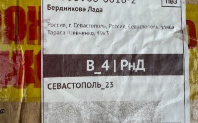 Спасение котят: Женщина нашла брошенных малышей в мусорном баке