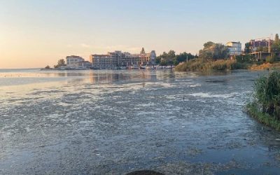Жители Севастополя просят очистить реку Омега от водорослей и неприятного запаха
