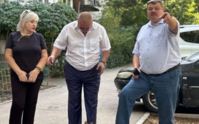 Депутат обещает решить проблему со стаями собак: от лавочек до встреч с УК