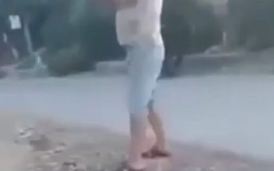 Семья опровергает связь с жестоким обращением с собакой в Севастополе
