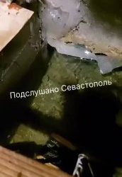 Севастопольцы сообщают о подтоплении дома на улице Карантинной