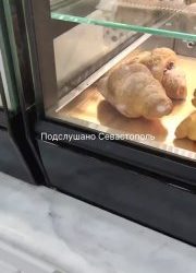 Севастополец просит не анонимно освещать его борьбу с тараканами в ТЦ «Апельсин»