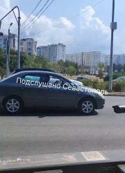 Севастополец сообщил о водителе, въехавшем на бордюр и сломавшем дерево