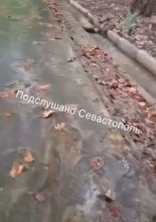 Сталинградский рынок под угрозой затопления: Водоканал не реагирует на заявку жителей