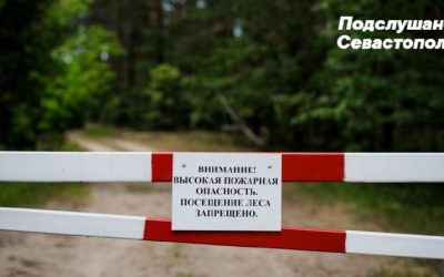 В Севастополе продлен запрет на посещение лесов до 26 сентября