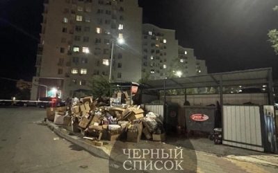 Власти Севастополя игнорируют проблему с мусором на пр-кте Генерала Острякова