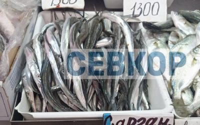 Барабулька по цене камбалы: цены на рыбу в Севастополе поражают