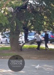 Дети-вандалы терроризируют деревья в Севастополе