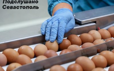 Инфляция в Севастополе достигла 8,8% за 8 месяцев 2024 года — Крымстат