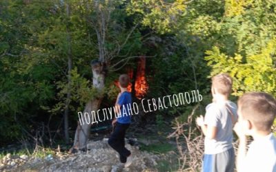 Пожар в парке Лукоморья: очевидцы сообщают о возгорании матрасов