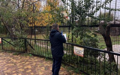 Трагедия в парке львов «Тайган»: возбуждено уголовное дело по факту гибели сотрудницы