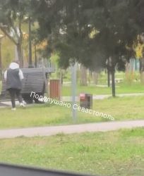 Севастопольцы возмущены публичным актом дефекации в городском парке